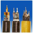 钢丝加强型电缆YC-J电缆