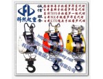台湾小金刚小型电动葫芦 DUKE微型电动葫芦 进口小吊机