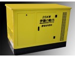 箱柜式静音发电机|多燃料静音机组|25KW燃气发电机