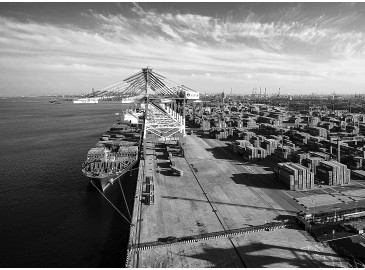 天津港聯(lián)盟國際集裝箱碼頭進行集裝箱裝卸作業(yè)