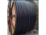 温州电缆线-13858887111