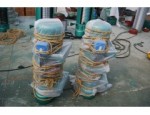 重庆电动葫芦专业生产