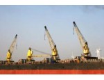 上海船用起重机优质厂家