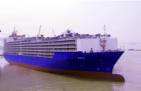 中船澄西喜获一艘牲畜改装船大单