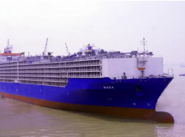 中船澄西成功斬獲一艘牲畜改裝船訂單