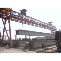新疆伊犁路桥门式起重机：马13679922050