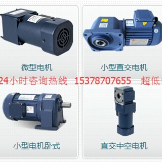 小微型齒輪減速電機 (4)