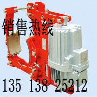 电力液压块式制动器YWZ5-250/B30