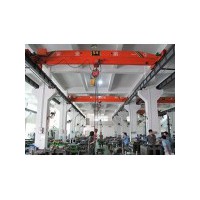 杭州专业生产单梁起重机优质厂家