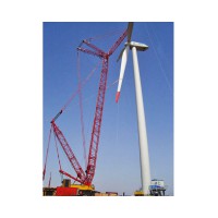 湖州工程起重机-塔式行吊专业安装生产13157253888