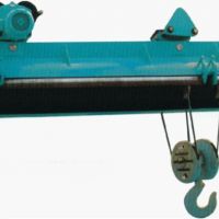 重庆电动葫芦质量保证-30-100m超高电动葫芦