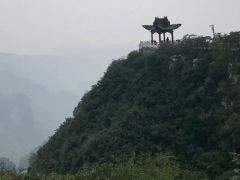 鄭州要建中華生物園 伏牛山要建世界植物大觀園